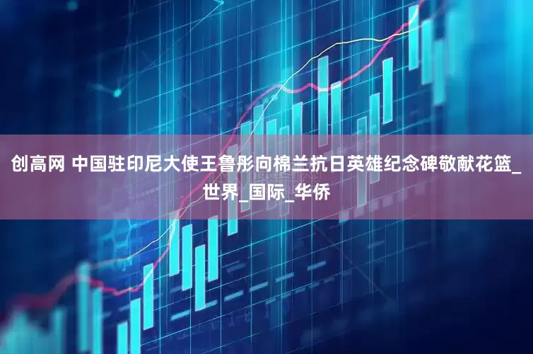创高网 中国驻印尼大使王鲁彤向棉兰抗日英雄纪念碑敬献花篮_世界_国际_华侨