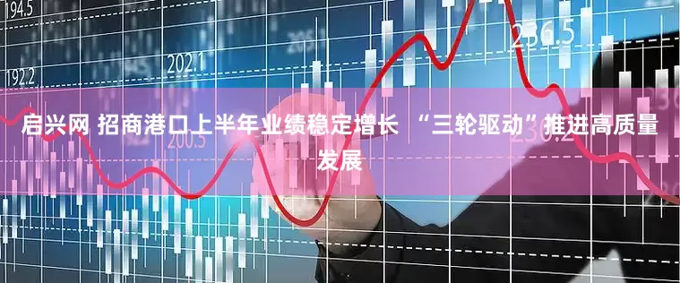 启兴网 招商港口上半年业绩稳定增长  “三轮驱动”推进高质量发展